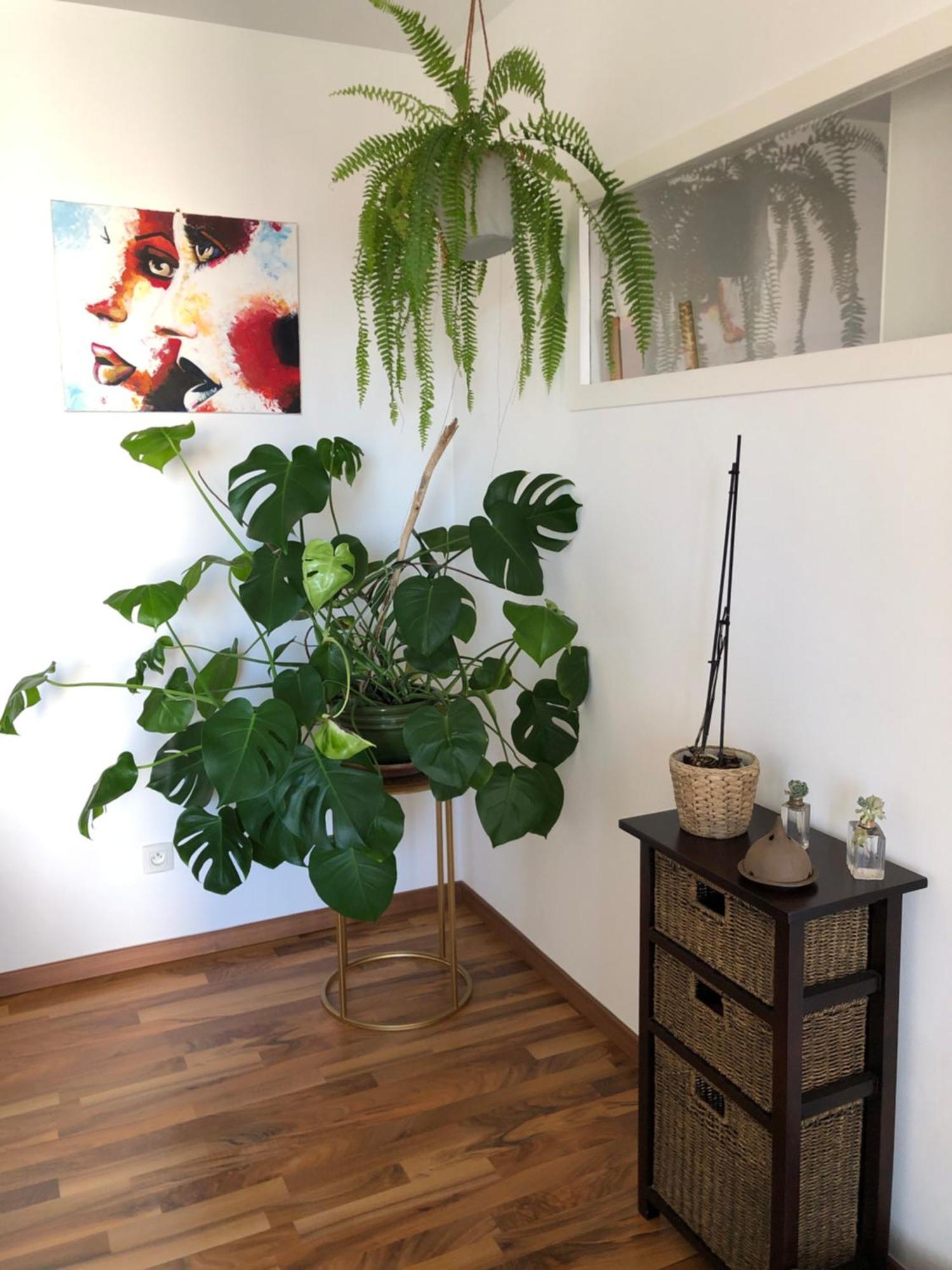 Bel Appartement Nimois Au Calme Avec Balcon Nimes Luaran gambar